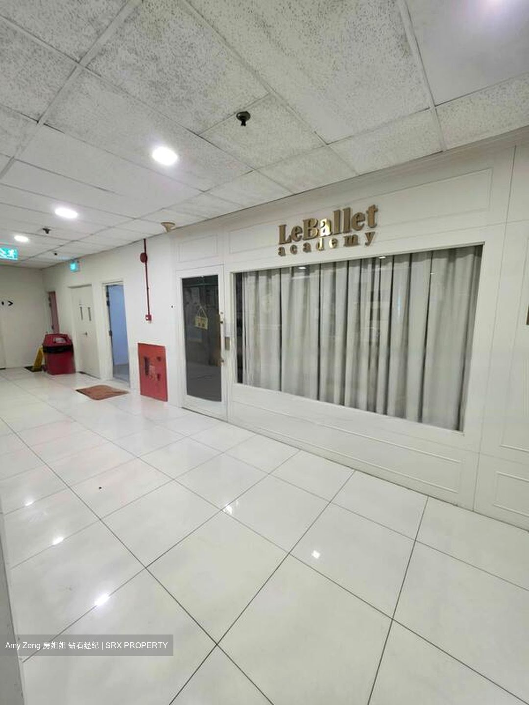 Holland Road Shopping Centre (D10), Shop House #453166641
